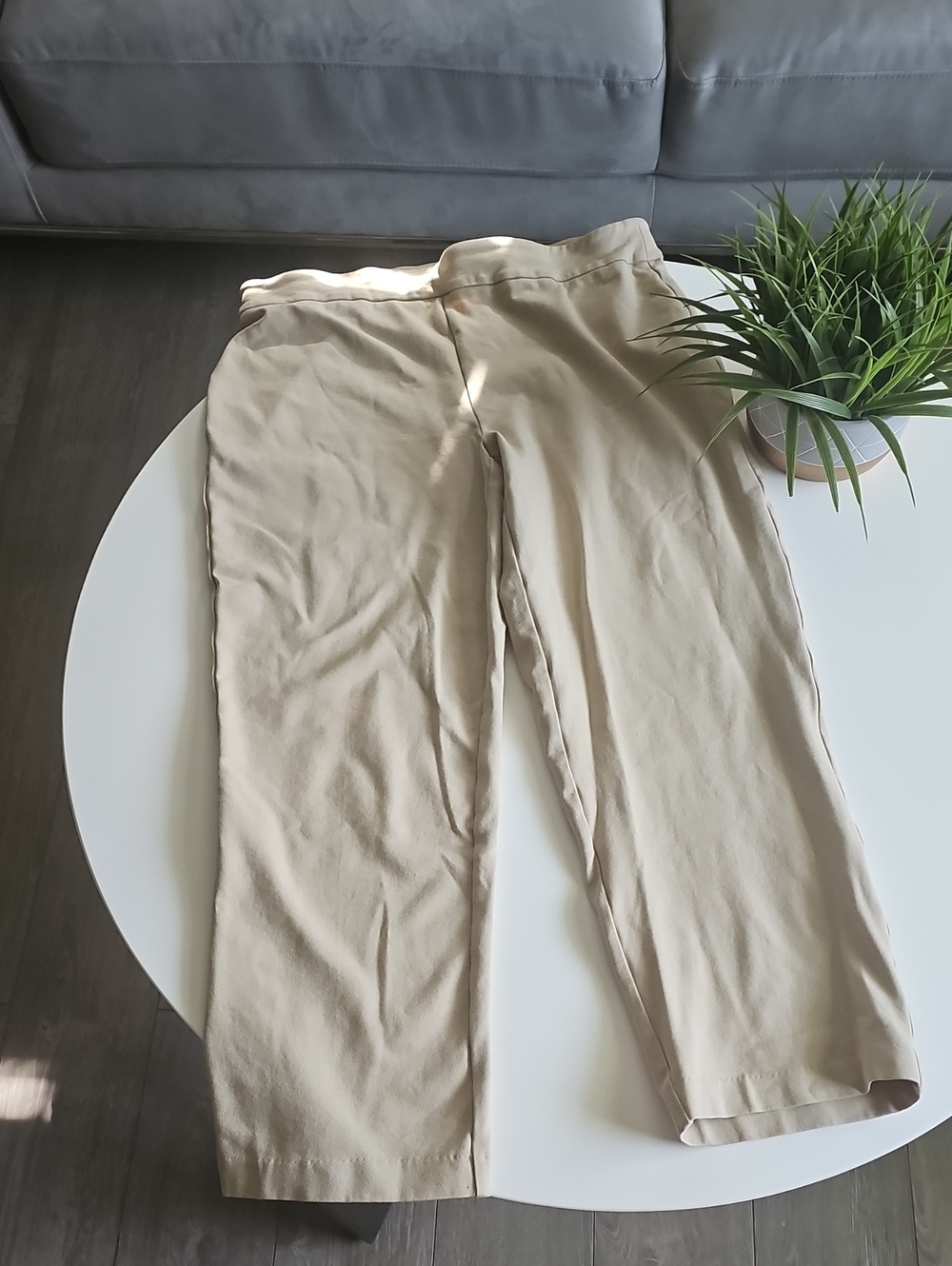 BrownStone Studio Petite Casual Pull On Style Stretch Chino Pants - Beige